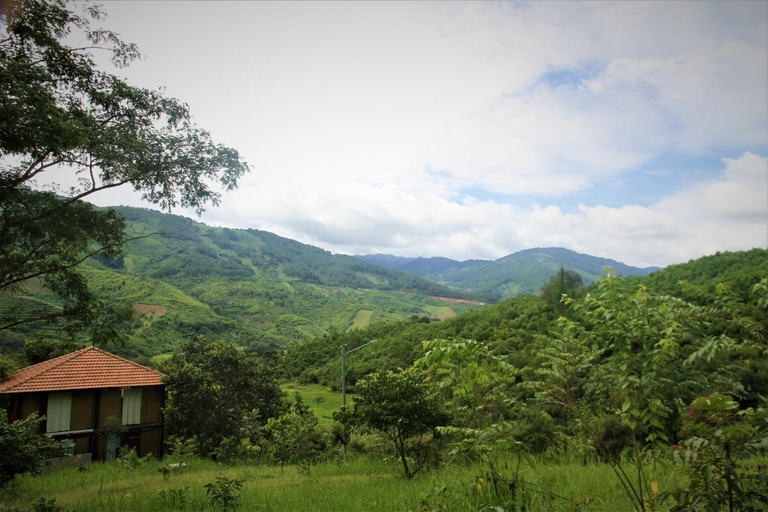 Others 2, Zen Cafe Countryside Retreat, Đam Rông