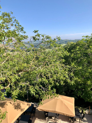 Scenery