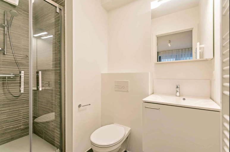Others 5, Furnished 2 Bedroom Apartment in City Center, Bruxelles