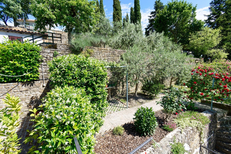Others 3, Apartments Smile by Rent Istria, Grožnjan