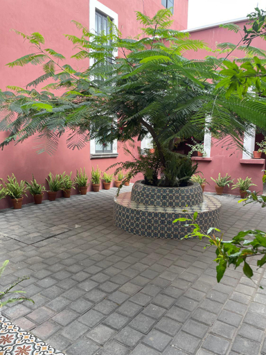 Others 5, Quinta La Perla, Guadalajara
