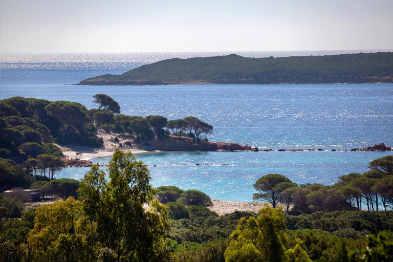 Others 3, Residence "U LATONU", Corse-du-Sud