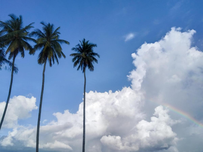 Exterior & Views 5, Rafflesia Resort, Lundu