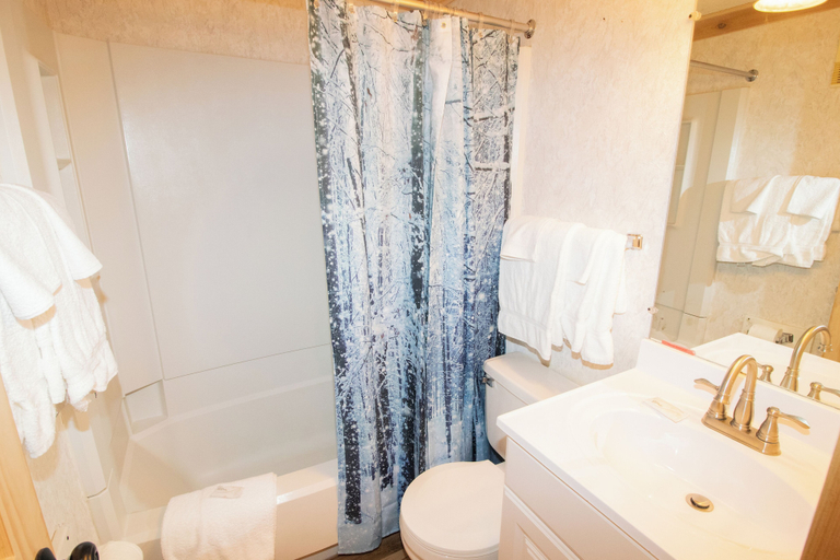 Bathroom 3, Mountain Lodge, Pocahontas