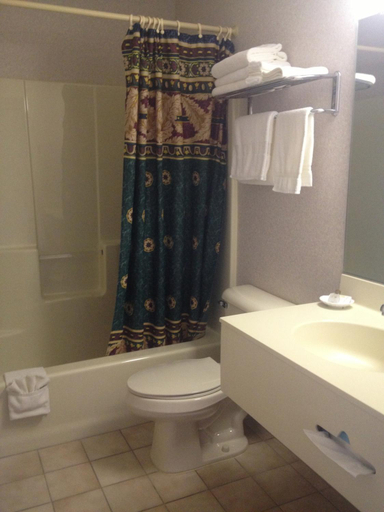 Bathroom 3, Parkside Inn Bridgeview, Emmet