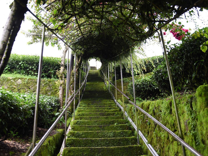 Others 2, Drizzle Tea House, Chiayi County