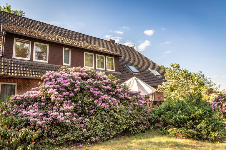 Others 4, Rhododendronhof, Heidekreis