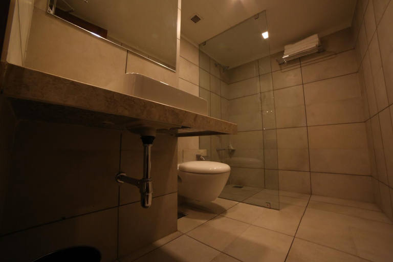 Bathroom, Hotel Arizona Inn, Anand