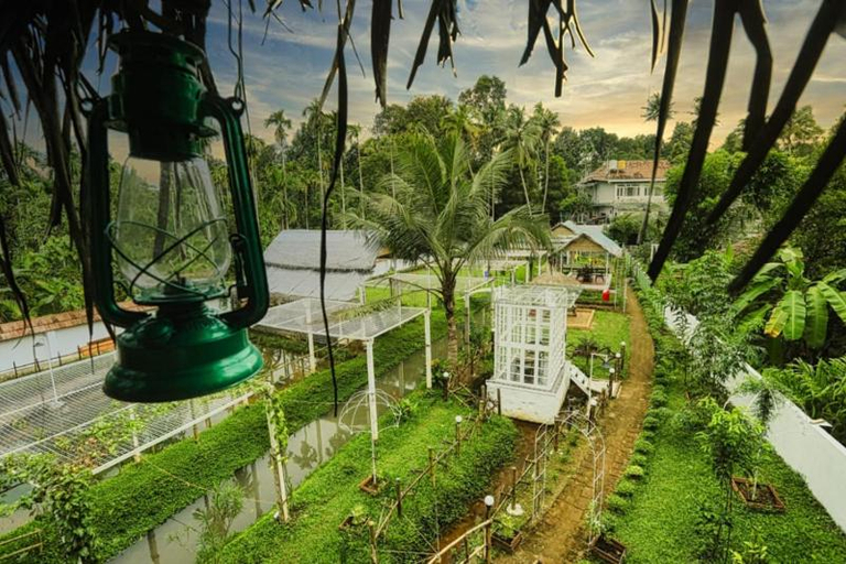 Others 5, Village of Blossom, Ernakulam