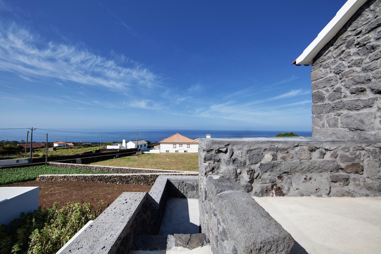 Others 4, Melo's Place, Madalena