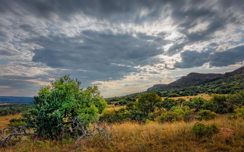 Others 5, Thaba Manzi Ranch, Bojanala