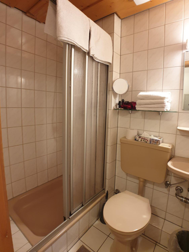 Bathroom, Ehrenmattlehof Faißt, Ortenaukreis