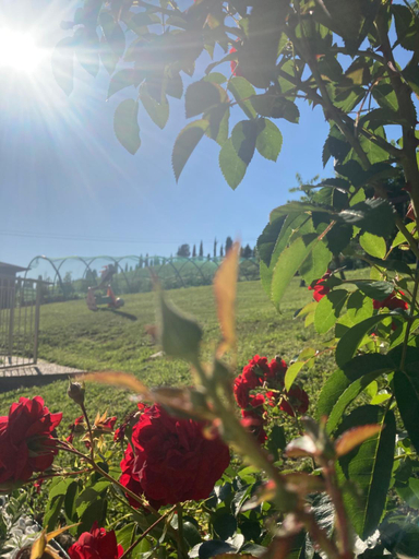 Others 2, B&B” La Tezza”, Bergamo