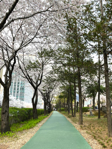 Jeongdam, Yeongdeungpo