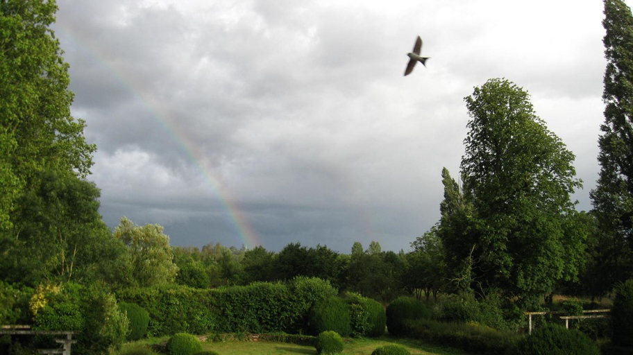 Others 3, Le Petit Bois, Indre-et-Loire