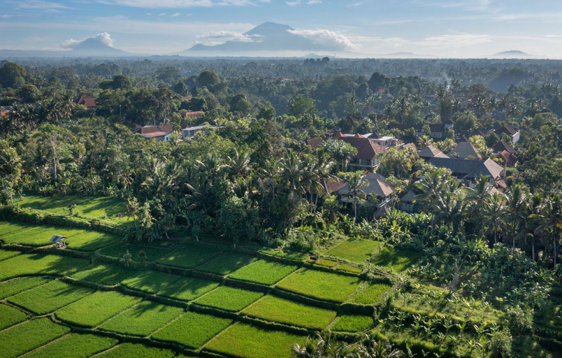 Scenery 18
