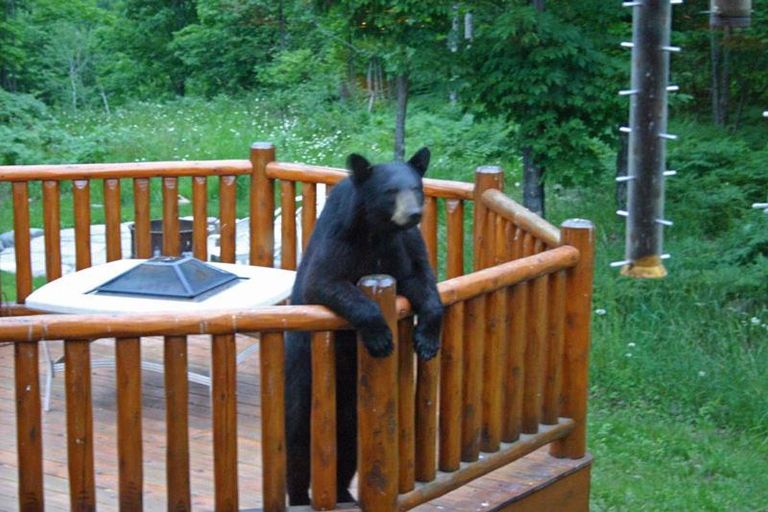 Others 1, Black River Crossing Bed & Breakfast, Gogebic
