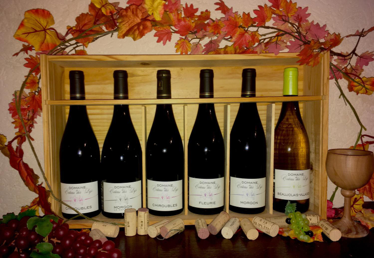 Others 2, Domaine Du Coteau Des Lys, Rhône