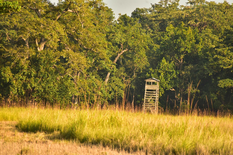 Others 5, Bardiya Eco Safary Homestay, Bheri
