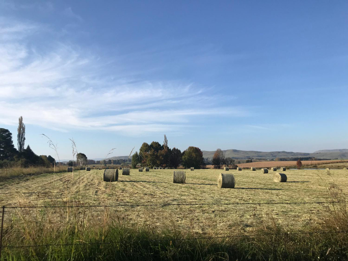 Others 3, KarMichael Farm, Sisonke