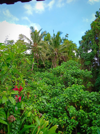 Scenery 16