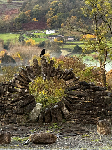 Others 4, The Cowshed, Denbighshire