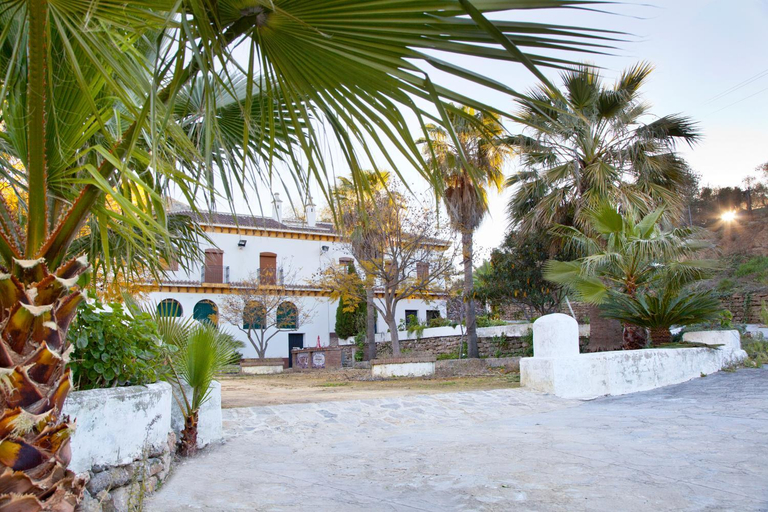 Entrance, Hostal El Cortijo, Cádiz