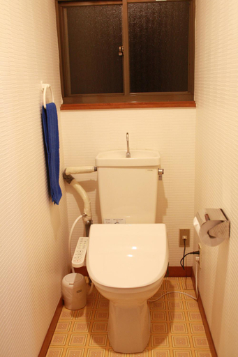 Bathroom 2, Umeya Annex, Fujikawaguchiko