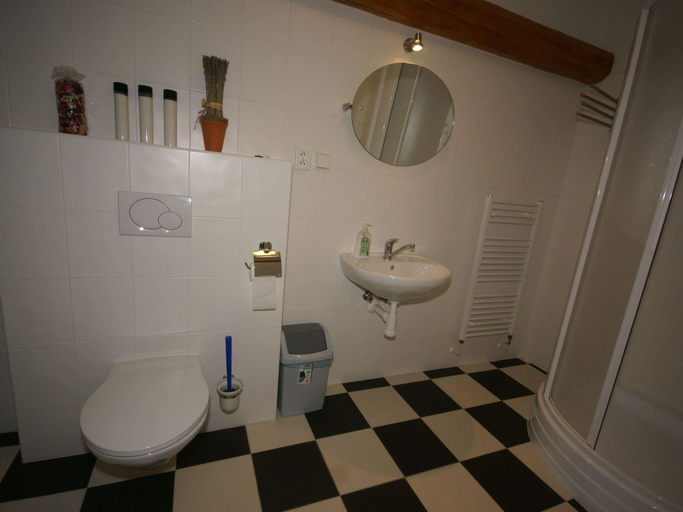 Bathroom 3, Farmhouse in Czechia with Private Pool, Trutnov