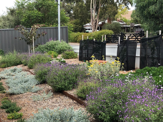 Others 5, Treveth, Barossa - Angaston