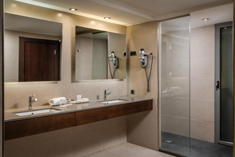 Bathroom 5, Hotel President