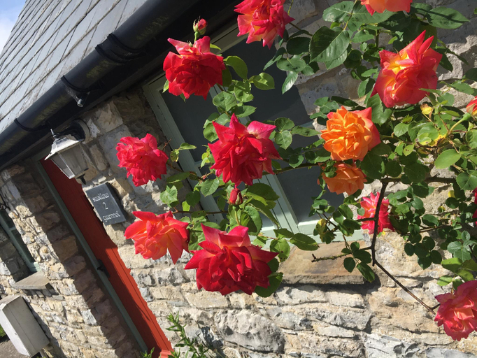 Others 5, Moorshead Farm, Vale of Glamorgan