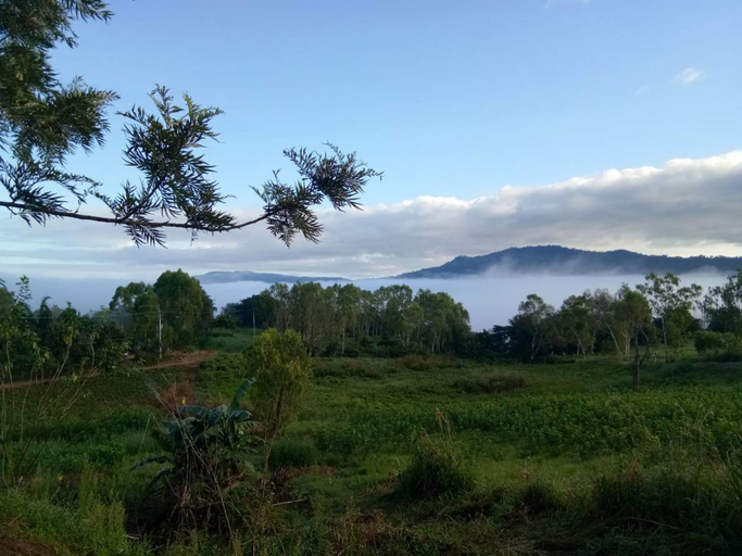 Others 5, Rai Rames Agritourism, Khao Kho