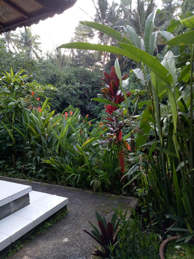 Scenery 18