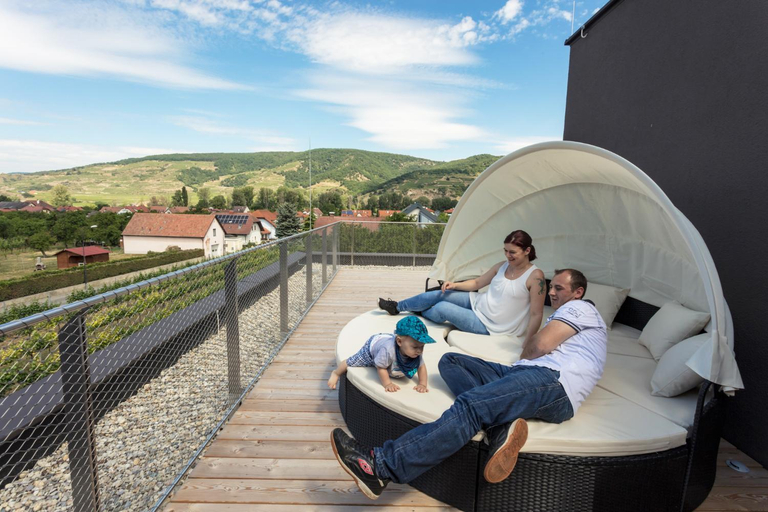 Others 3, Weinlodge Siedler, Krems an der Donau Land