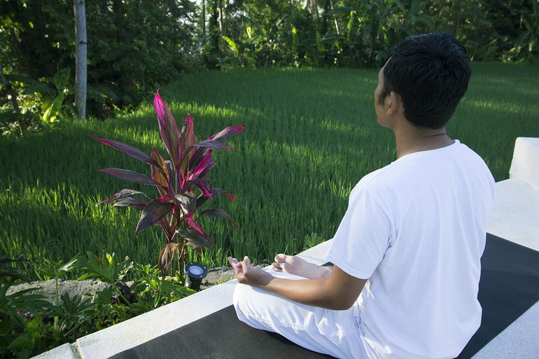 Others 5, Romantic 1 BR Private Pool #K138, Gianyar
