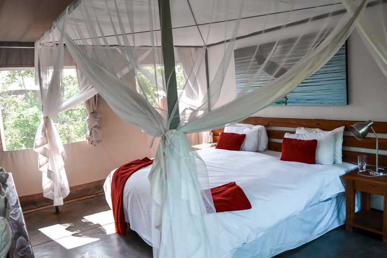 Bedroom 3, Honeyguide Ranger Camp, Waterberg