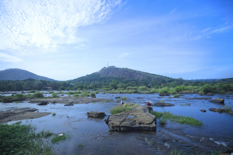 Others 4, Riverine Waves - Boutique Resort , Thrissur