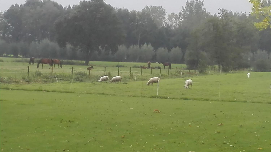 Others 3, De Weije Wereld, Sint-Oedenrode