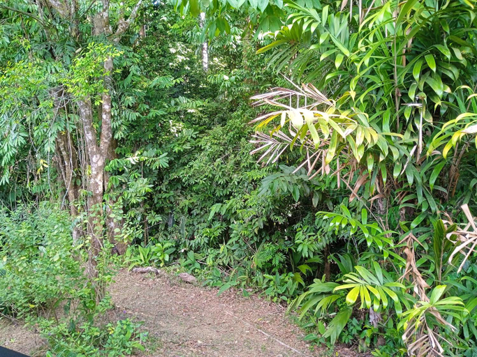 Others 4, Cabanas Bajo Bosque Drake, Osa