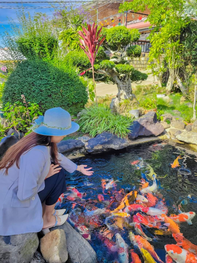 Others 3, Mai Anh Đào Homestay, Đà Lạt