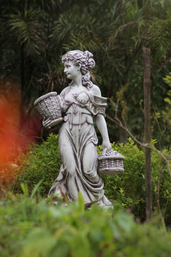 Others 5, BARSATI RANCHES, Wayanad
