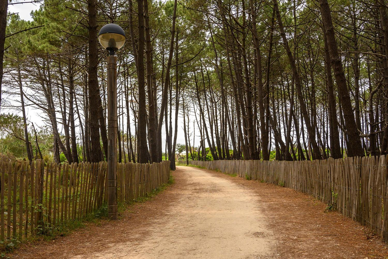 Others 2, BISCADODO, joignable au zero6trente53cinquante60, Landes