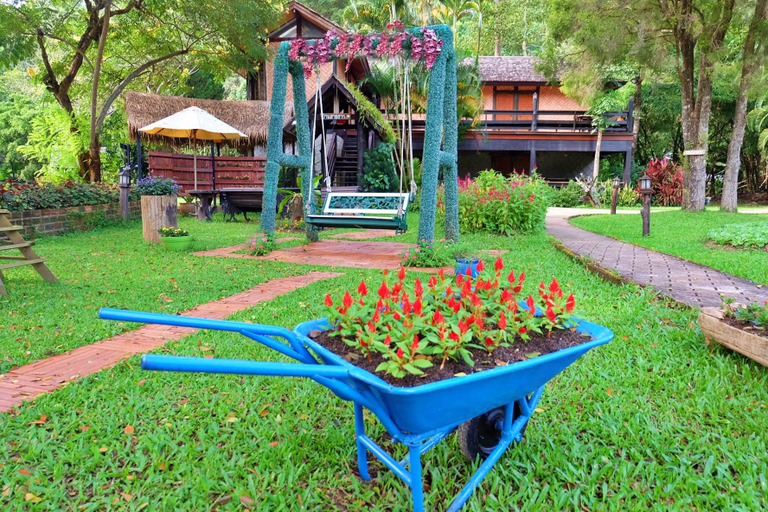 Others 4, Phuingfah, Mae Rim