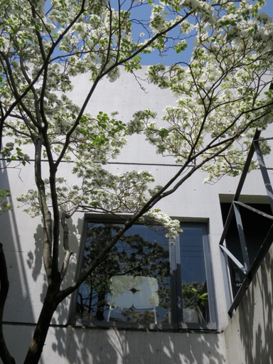 Others 4, AH87 Osaka, Suita