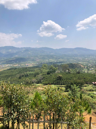 Scenery 10