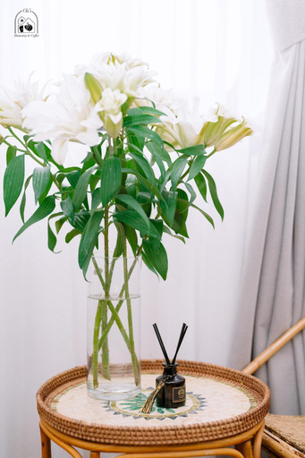 Others 5, Chi's Homestay & Coffee, Huế