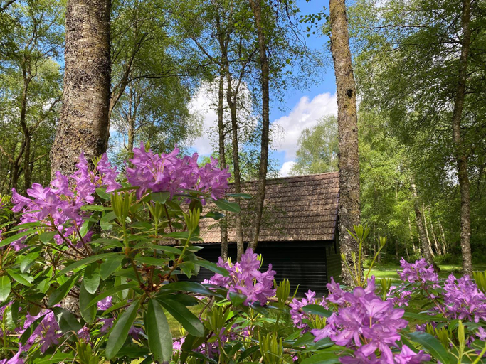 Others 2, Burnbank Lodges, Highland