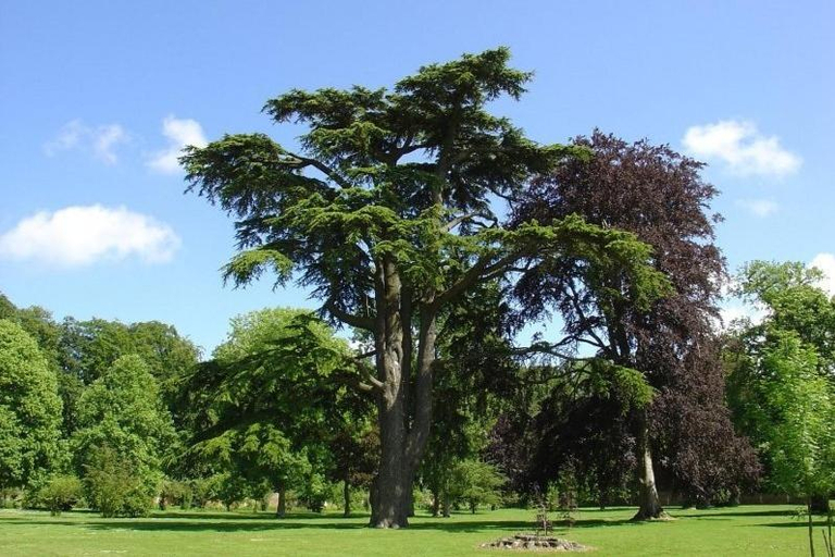 Others 5, Chateau de Miromesnil, Seine-Maritime