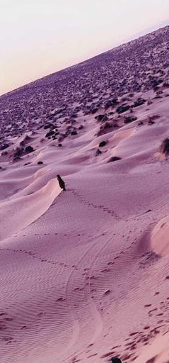 Others 4, Ecolodge Ksar Ghilane, Douz